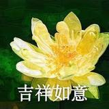 多年以后4001头像