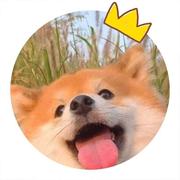 小小摆下士与大大烂将军的个人资料头像