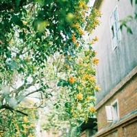 TT烤串牛肉面头像