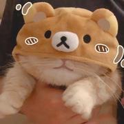 唐宋元明清209的个人资料头像