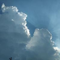 南柯sd一梦头像