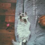 于北往南的个人资料头像