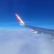 玉良的个人资料头像