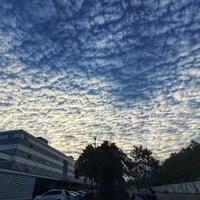 远见卓识星辰RR5头像