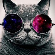 叫我大昇子的个人资料头像