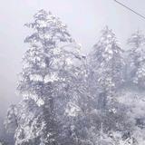 唐宋元明清头像