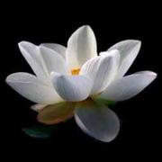 悬崖上的稻草人的个人资料头像