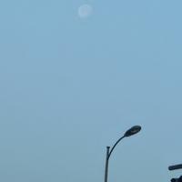 方大栋Sheldon头像