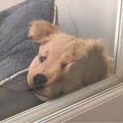 跳出圈儿的个人资料头像