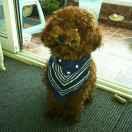 永恒的个人资料头像