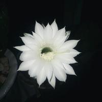 追逐明天的男人头像