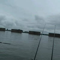 用户4037981658712头像