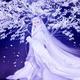 月下黄昏雨 · 星瑞车主·车龄3年头像