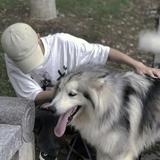 赋予387头像