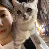 素啊一首歌这不是教我头像