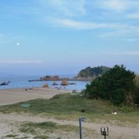 小花梨哈哈哈头像