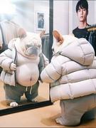 经常不健身的阿远的个人资料头像