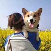 谁抢我的小口口的个人资料头像
