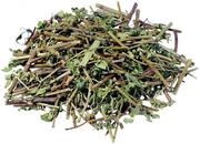 唯一掘号的个人资料头像