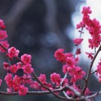 聪颖的清浅时光头像