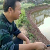 五九零三五青春岁月头像