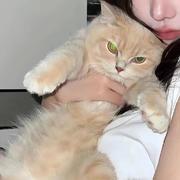 财迷王子的个人资料头像