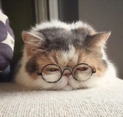 一二君937的个人资料头像