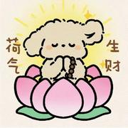 要好好睡觉的个人资料头像