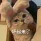 用户838324132374 · 迈腾车主·车龄2年头像