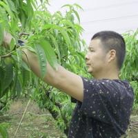 阳山桃院士头像