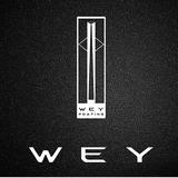 WEY海通-肖治一头像