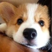 左1999的个人资料头像