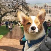 AAA专业代写课后作业限三年级以下的个人资料头像