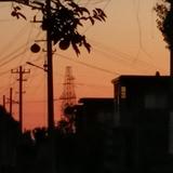 归去来兮去头像