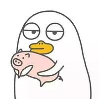 浪里小白497头像