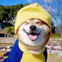 汽车维修邢邢为您服务头像