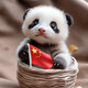 萌宠的魔法世界
                        头像