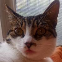 用户4208115188105头像