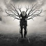 首无的个人资料头像