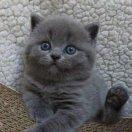 安爱学习105801的个人资料头像