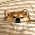 玥笯头像