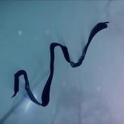 YanMalefeather的个人资料头像