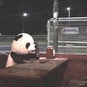 java技术栈的个人资料头像