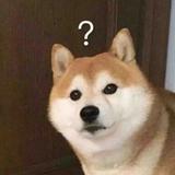 用户6960577950586头像