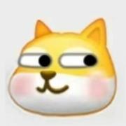 ALiang的个人资料头像