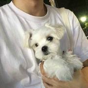 大橙183的个人资料头像