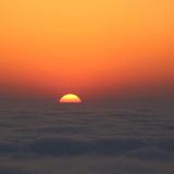 在线升学规划头像