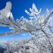 阿弥陀佛么么哒410的个人资料头像