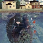 林中乌鸦的个人资料头像