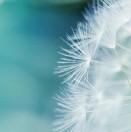 001的个人资料头像